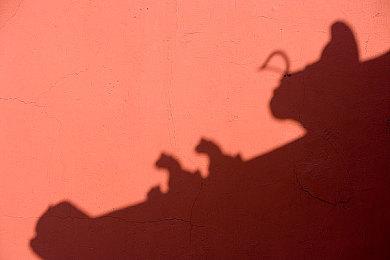 《赤红灯火妖魅行》明年2月29日登陆Steam和NS